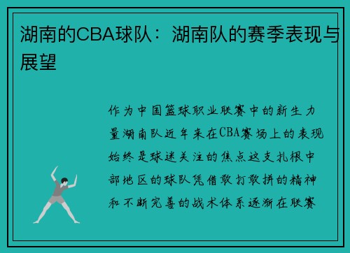 湖南的CBA球队：湖南队的赛季表现与展望